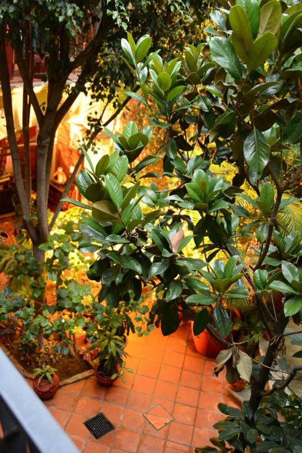 Hotel Casa Guiva Oaxaca Exterior photo