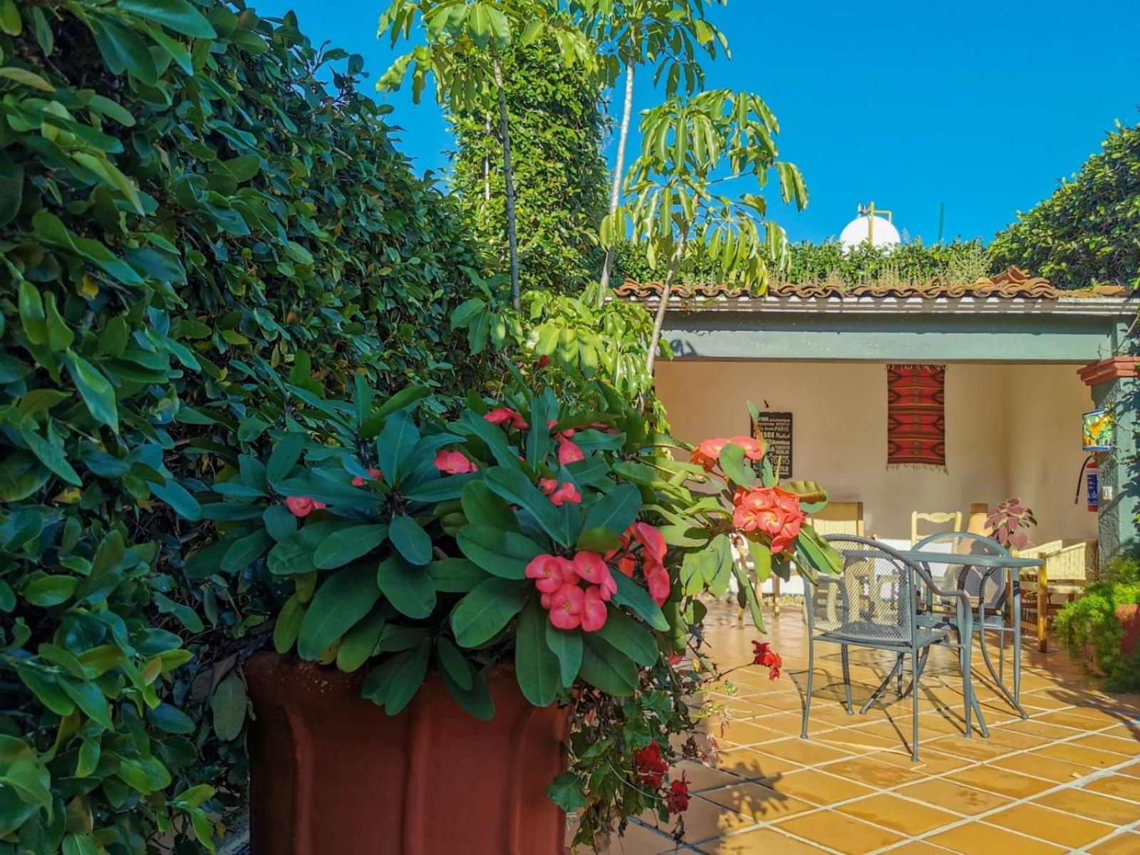Hotel Casa Guiva Oaxaca Exterior photo